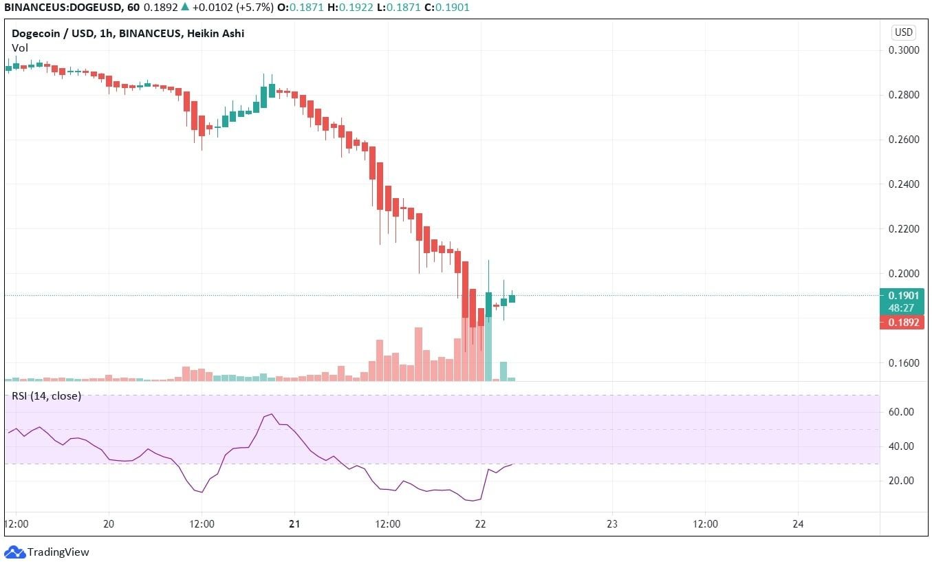 DOGE Breaking Its 100 Day Moving Average! DOGE Technical Analysis News