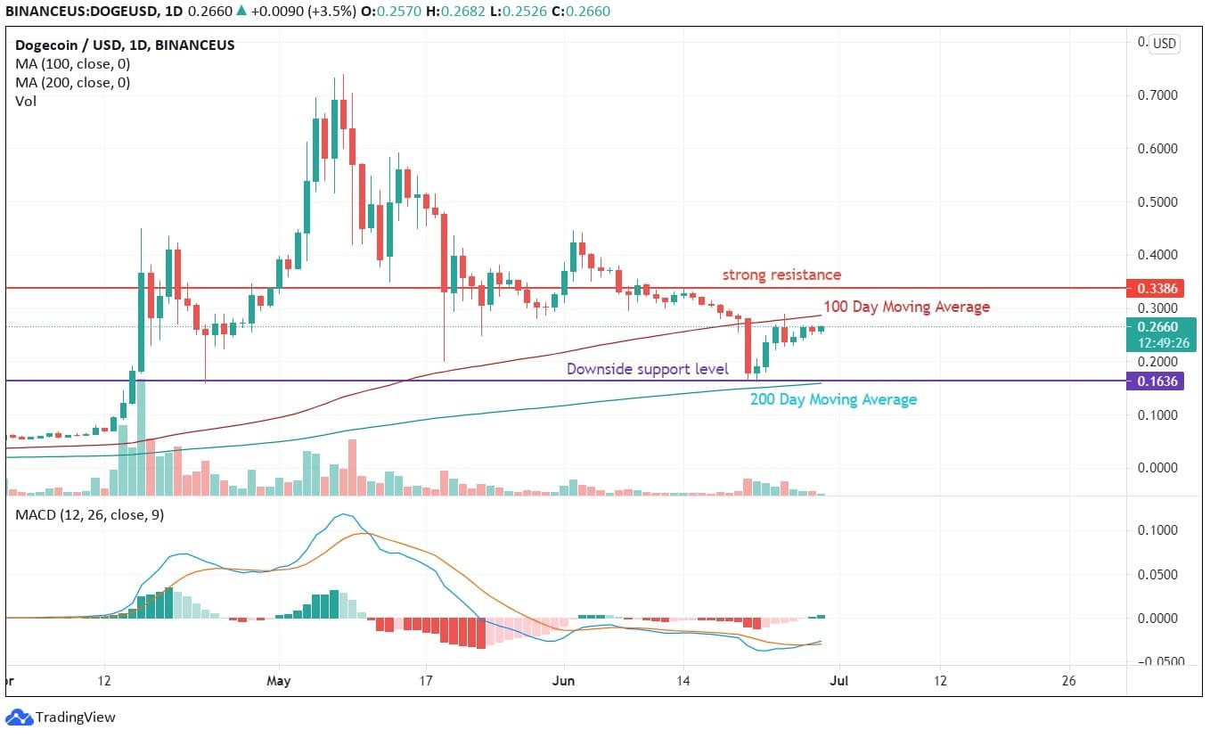 DOGE Price Analysis