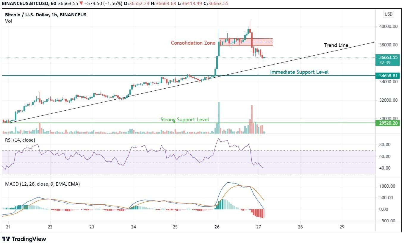 Bitcoin Price Analysis Chart