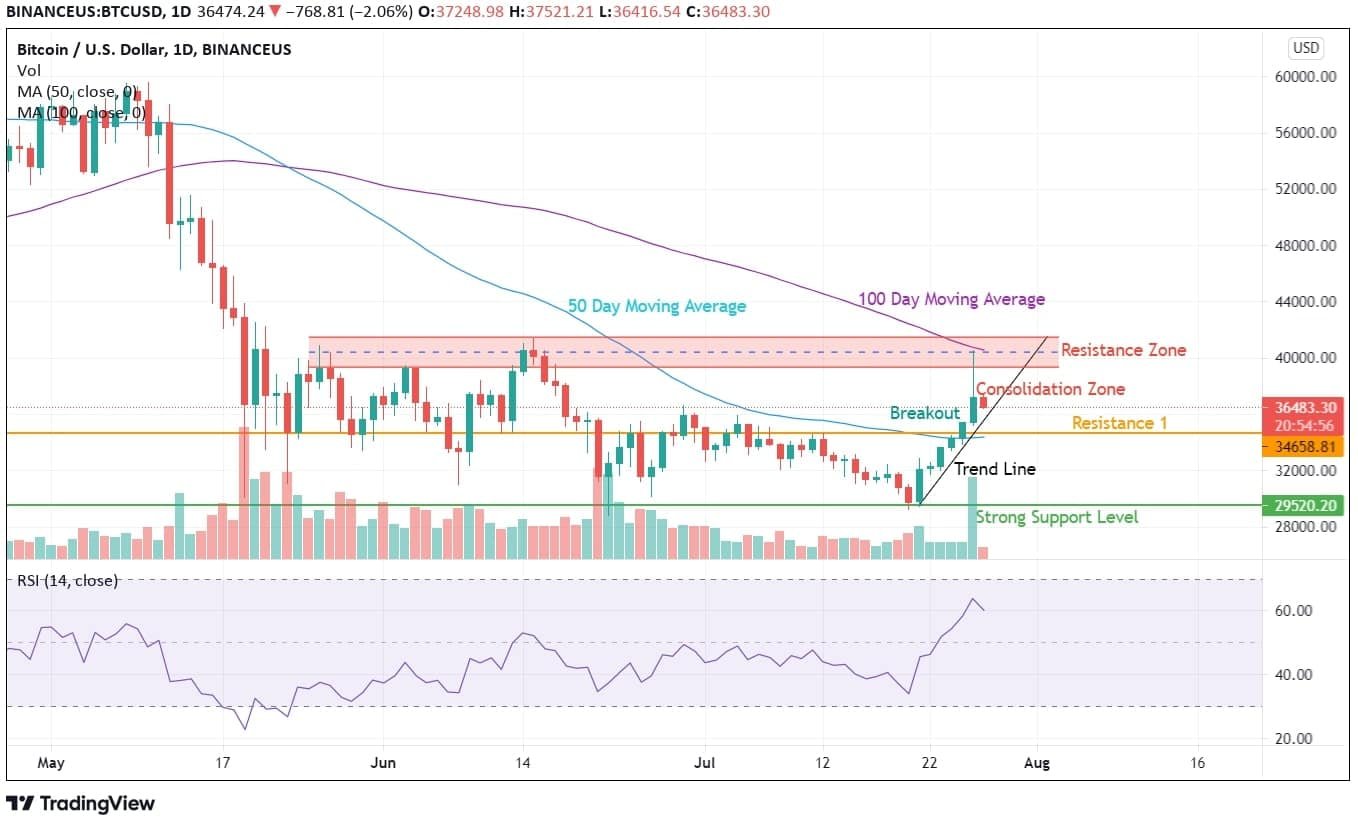 Bitcoin Price Analysis