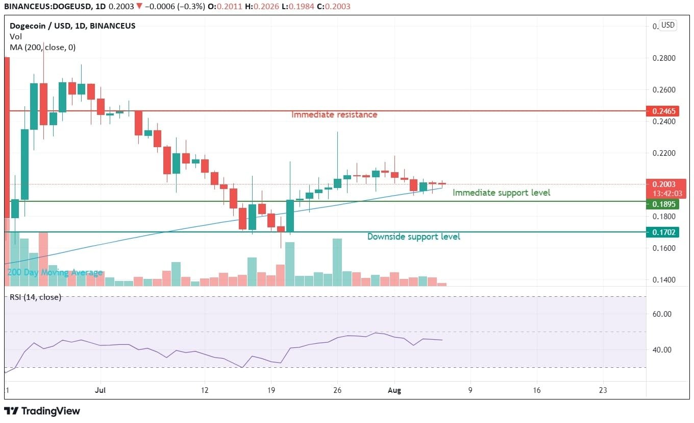 Dogecoin Price Analysis