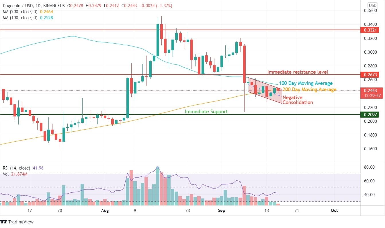 Dogecoin Price Analysis
