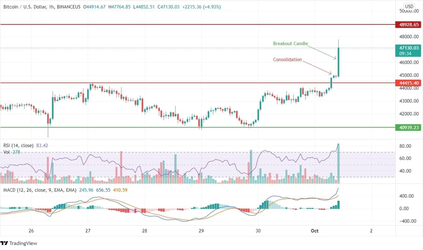 Bitcoin Price Analysis News