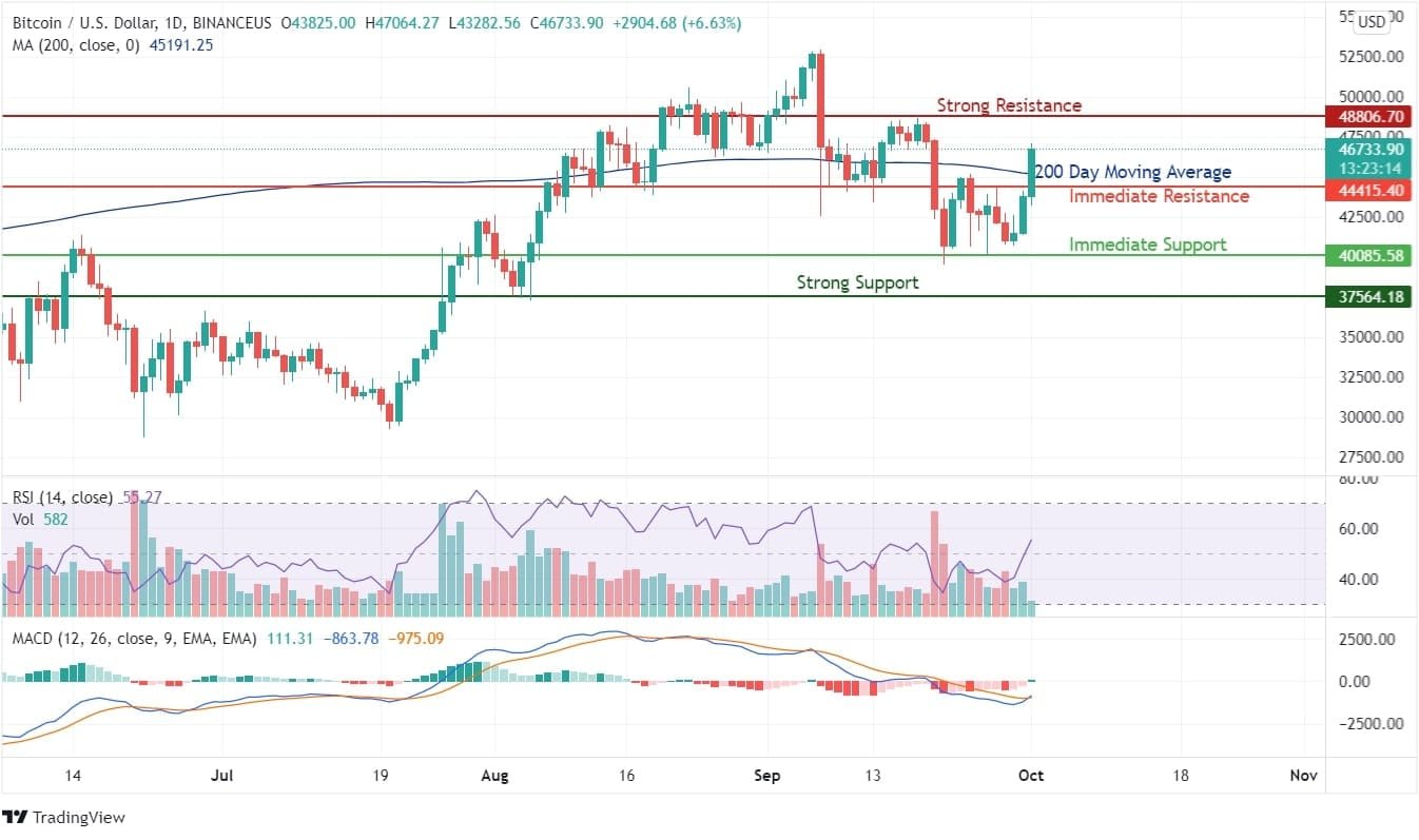 Bitcoin Price Analysis Chart
