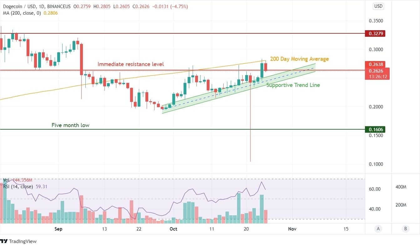 Dogecoin Price Analysis