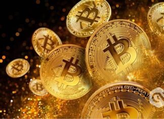 Toddler Earns 6,500% Revenue as Bitcoin Crosses $62,000