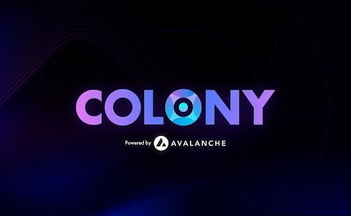 Colony Introduced It Has Raised $18.5 Million In Seed Funding