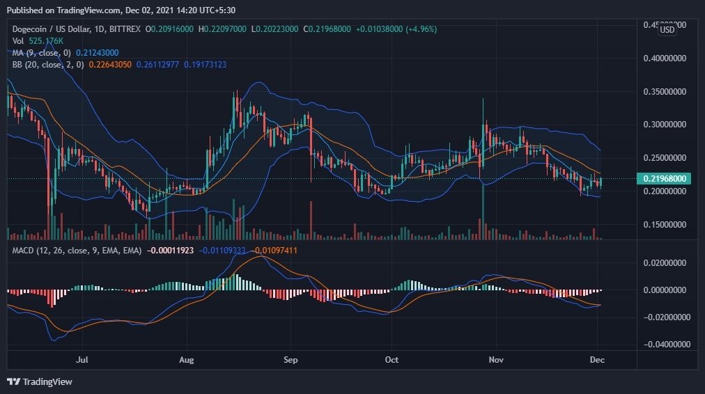 Dogecoin Price Analysis Chart Newsssss
