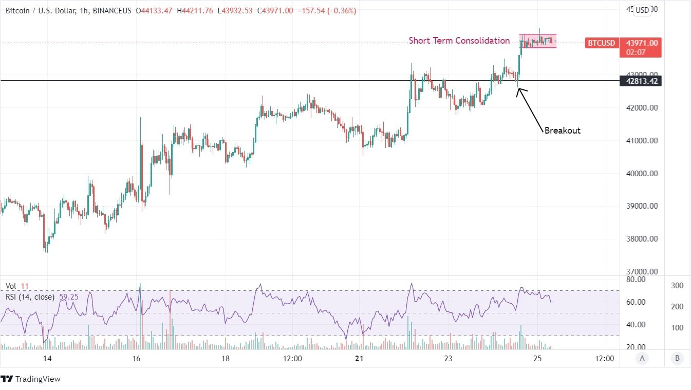 BTC Price Chart