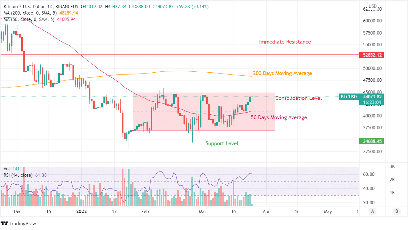 BTC Price Analysis