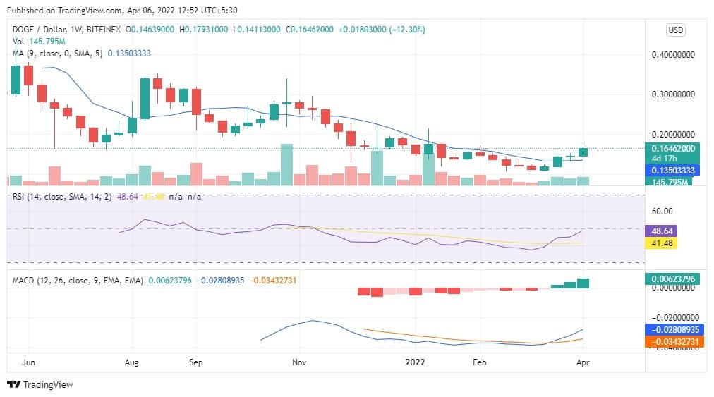 DOGE Price Chart