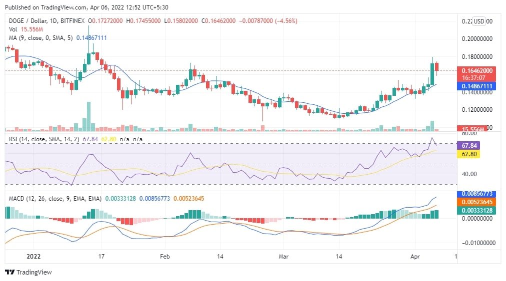 DOGE Chart