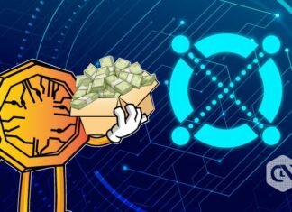 Skynet EGLD Capital Raises $40M to Put money into Elrond