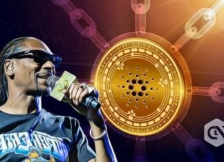 Snoop Dogg Launches NFT Assortment on Cardano in Collaboration with Clay Nation