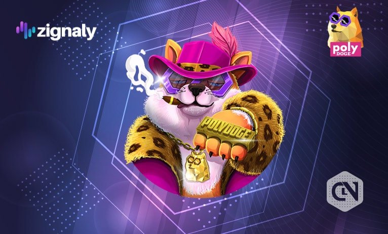 Zignaly Welcomes PolyDogeDao Vault as a New Mission