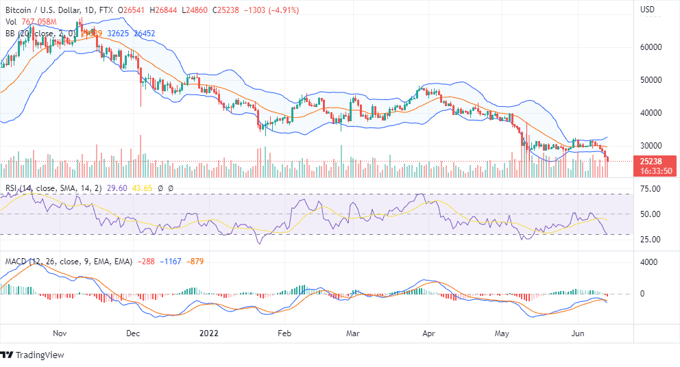 BTC Chart