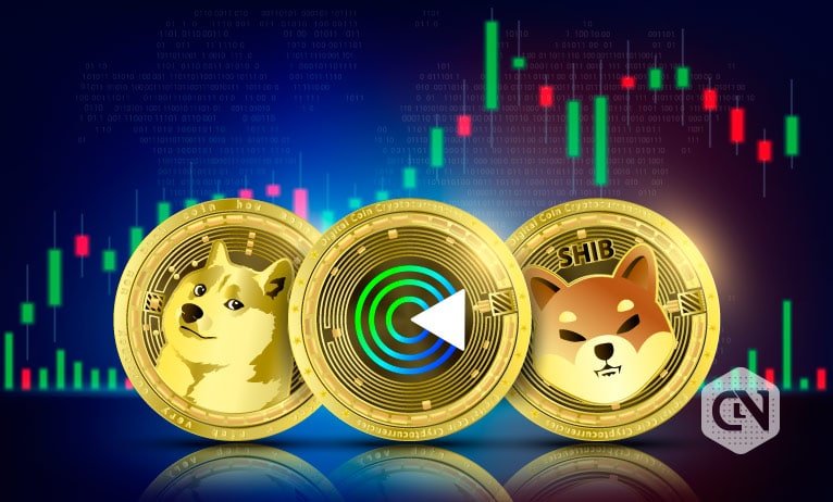 Boundless Returns? Put money into Shiba Inu (SHIB), Dogecoin (DOGE), and Gnox Token (GNOX)!