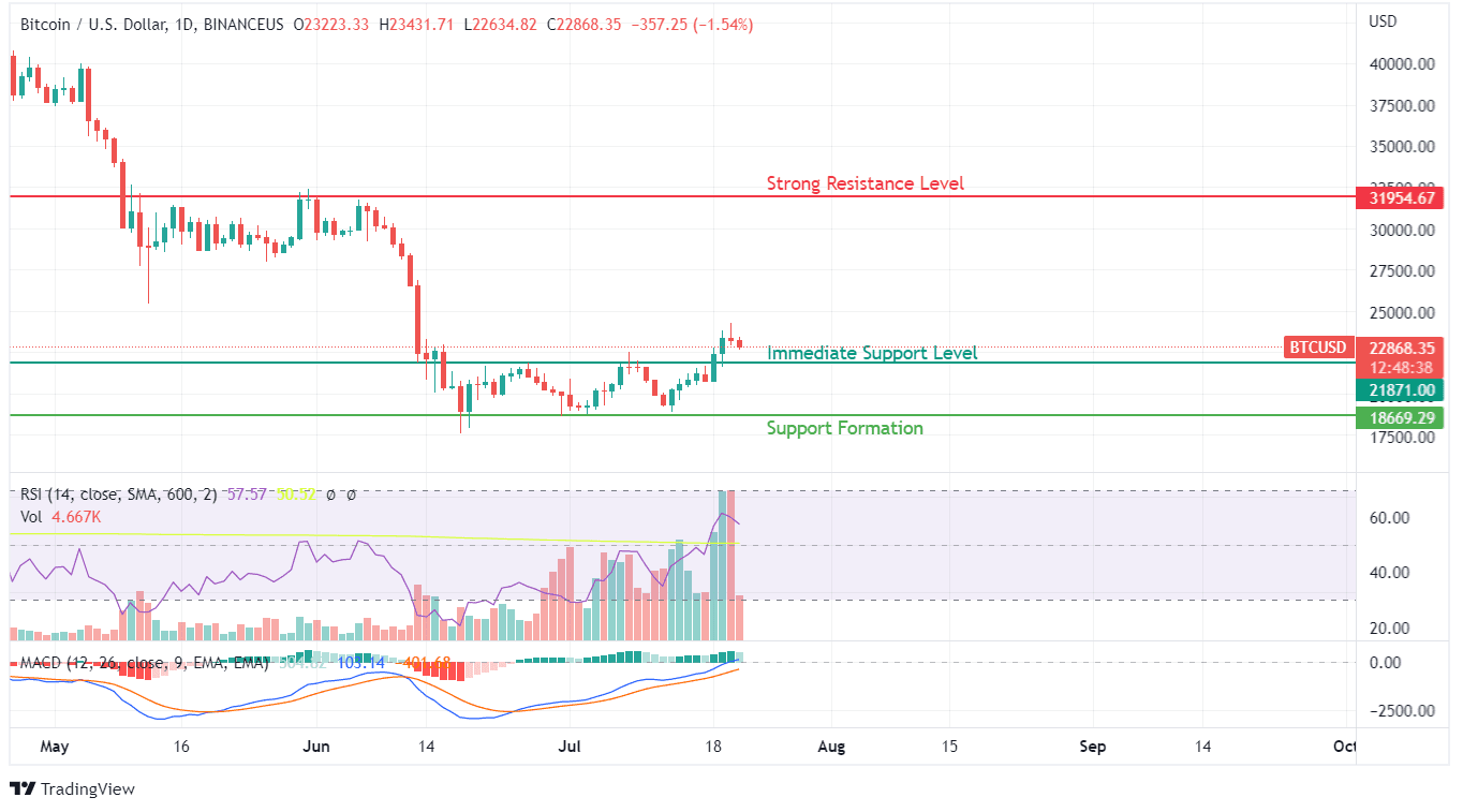 BTC Price Chart