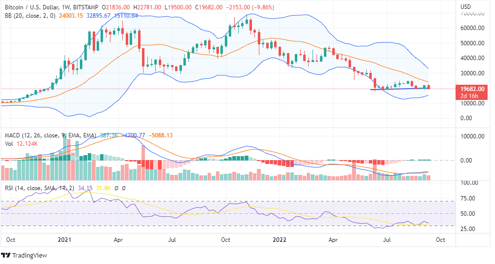 BTC PRICE CHART