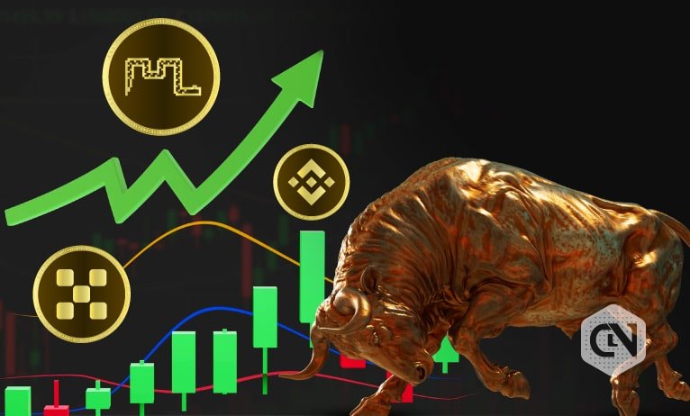 Moshnake, BNB, and OKB could be Sturdy Through the Subsequent Bull Run! Moshnake, BNB, and OKB could be Sturdy Through the Subsequent Bull Run!