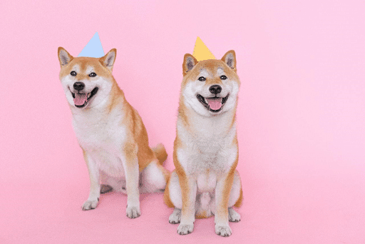 SHIB