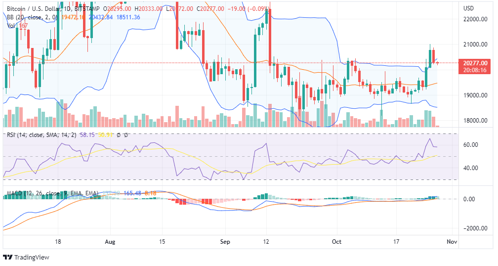 BTC PRICE CHART