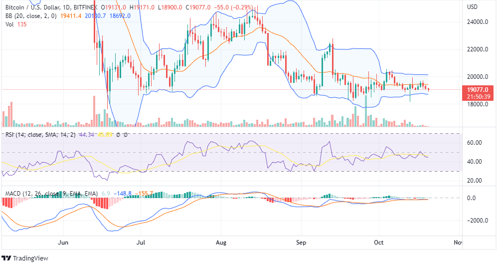 BTC PRICE CHART