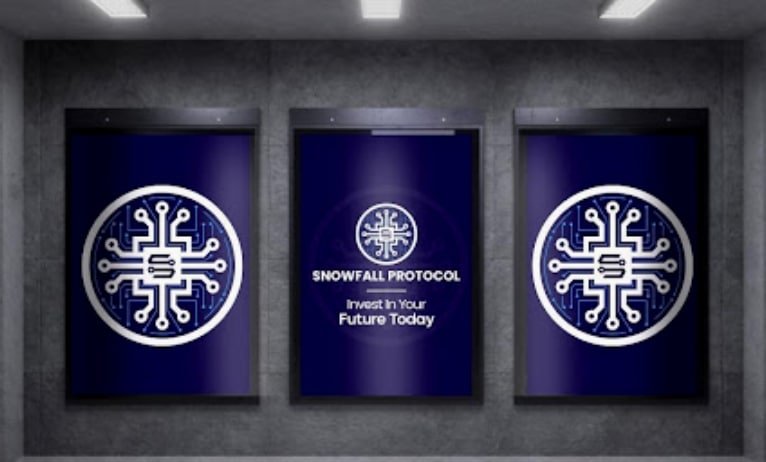 Will Snowfall Protocol be the perfect various to Chiliz and eCash?