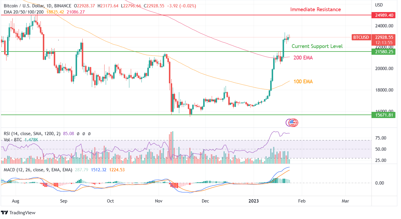 BTC PRICE CHART