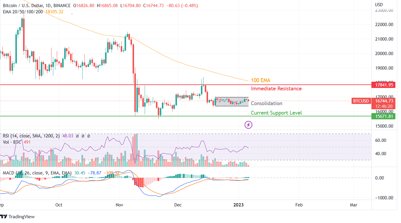 BTC PRICE CHART