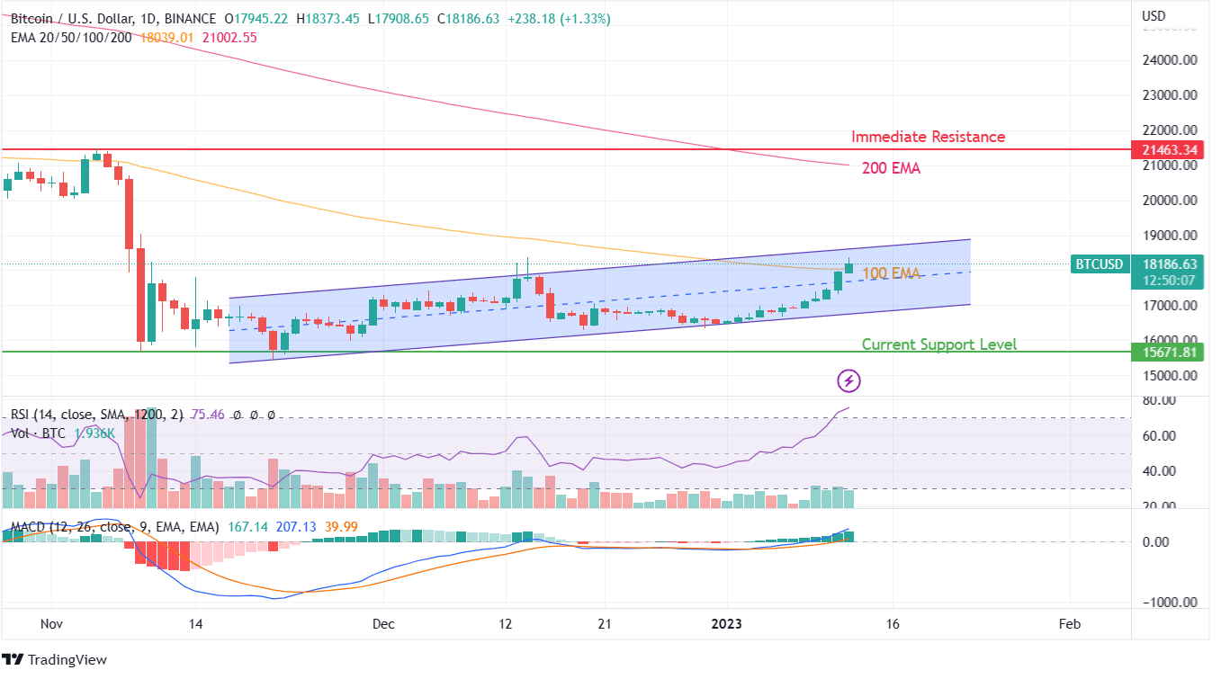 BTC PRICE CHART