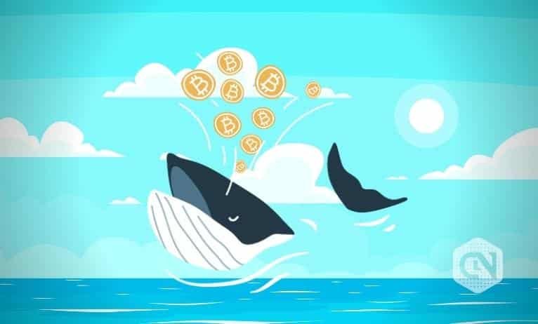 Bitcoin crossed $30k; Learn this truth earlier than you spend money on 2023