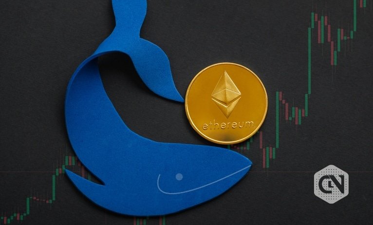 The variety of Ethereum sharks and whales will increase