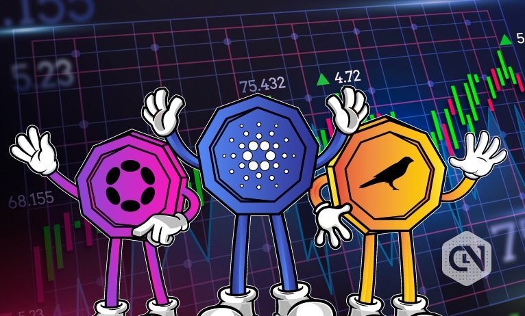 Prime cash to control: Kusama, Polkadot, & Cardano Prime cash to control: Kusama, Polkadot, & Cardano