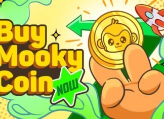 Why Mooky token is the secure guess for buyers?