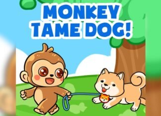 Mooky continues to increase its group with new listings & partnerships