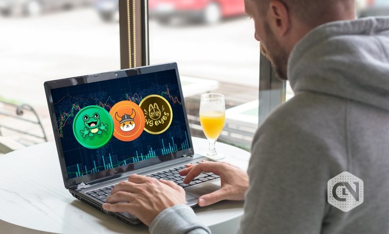 Pepe Coin, Floki Inu, and Massive Eyes Coin proceed to realize traction