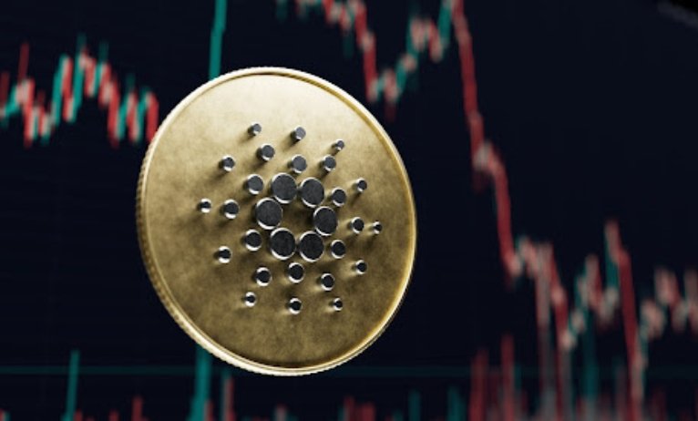 Cardano and DigiToads are the speak of the city these days