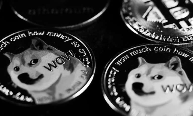 Are dog-themed cash nonetheless a factor in 2023?