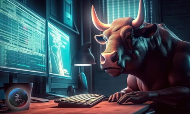 The danger of investing in Polygon & why VC Spectra is a safer choice