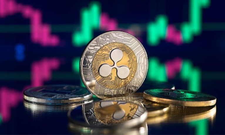 XRP outperforms prime 10 cash and DigiToads follows swimsuit