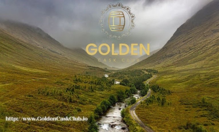 Brewing a brand new wave of crypto funding!