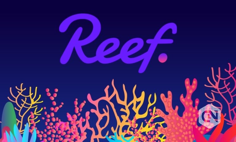 Reef shares its accomplishments in Q2
