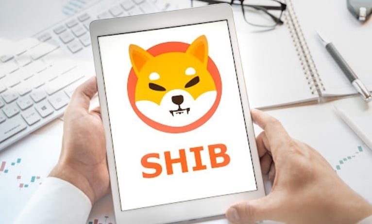 Shiba Inu and DigiToads lead the race to impress buyers