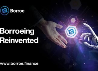 DeFi holders rotating funds to Borroe; 1INCH steadiness in CEXs rises