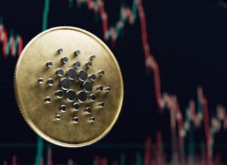 Cardano’s founder slams US score minimize; DigiToads presale surges