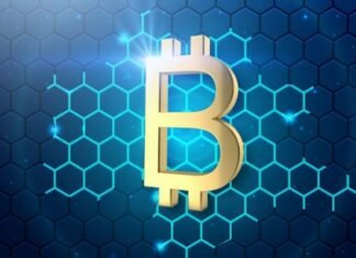 Bitcoin Spark to surpass Solana and Polygon