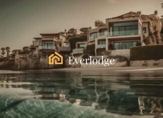Quant & Avalanche holders shift amid Everlodge buzz