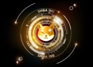 Why did SHIB & TOADS skyrocket over the weekend?