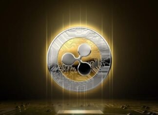 Why do crypto whales want DigiToads over XRP?